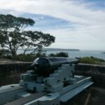 cannon georges head